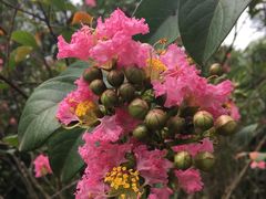 -白鹭湾湿地公园