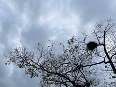 -梁鸿国家湿地公园