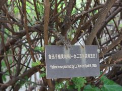 -北京鲁迅博物馆(北京新文化运动纪念馆鲁博馆区)