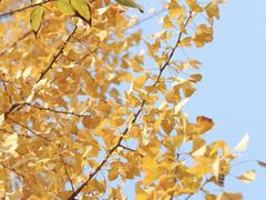 -白鹭湾湿地公园