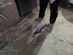 -姥家大锅台水库渔家