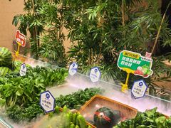 -燕郊烧鸽子(酷车小镇店)