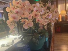 -八府香鸭·啫啫煲(华山路店)