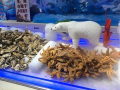 -比尔森韩式烤肉自助(绿园店)