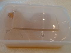 狮子头-金百万烤鸭店(马甸店)