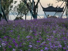 -东钱湖小普陀景区