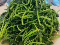 -四季春(美食街店)