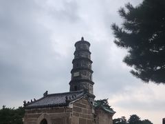 -鲁山国家森林公园