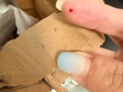 -白纸坊美式炸鸡