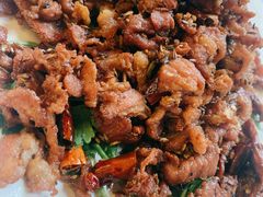 -京北渔家傲