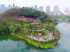 -重庆彩云湖湿地公园