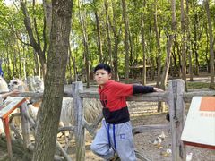 -昆山城市生态森林公园