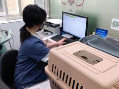 -伟伟宠物医院·CT影像中心·瑞派犬猫综合性门诊(汉口总院)