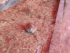 -杭州野生动物世界