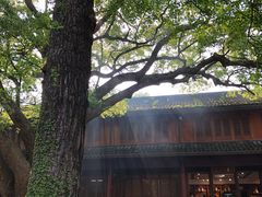 -普陀山风景名胜区-法雨禅寺