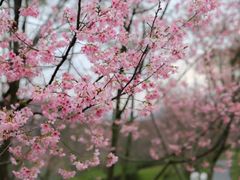-福建鲤鱼洲酒店