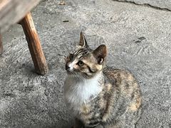 -老鲍农家乐