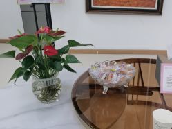 -薇兰专业脱毛连锁机构