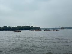 -西湖外事游船(花港观鱼码头)