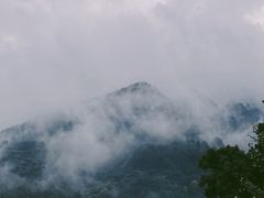 -杨家堂村