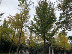 -荆川公园