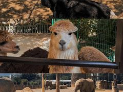 -杭州野生动物世界