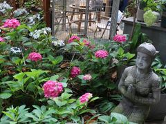 -谷咖啡·鲜花绿植花园餐厅