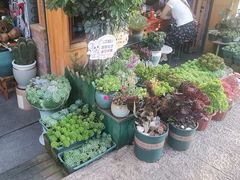 -老姐石板烧烤+铜炭火锅(总店)