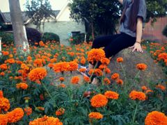 android_upload_pic-松山湖梦幻百花洲