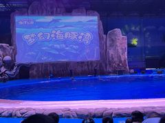 -华夏文旅海洋公园