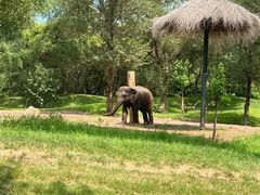 -北京野生动物园