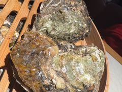 -杨氏青龙虾·吃蟹季(金盛路总店)