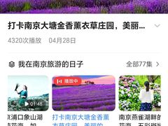 -大塘金香草谷