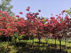 -祥源·阜阳生态乐园