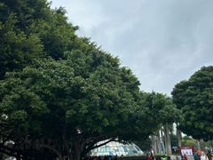 -北部湾广场