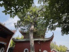 -长春观