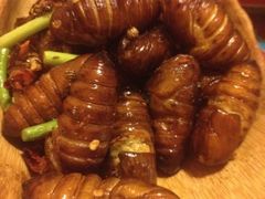 iphone_upload_pic-张氏鱼庄