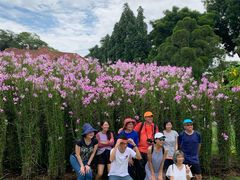 -新加坡总统府