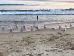 -海云台海滩