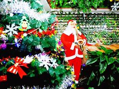 -福娃禧娃幼儿园