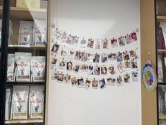 -瑞派康怡24h宠物医院·犬猫医疗中心·微创绝育(瑞景分院)