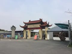 -大金山风景区