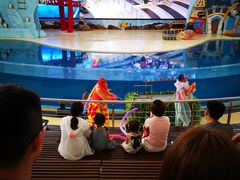 -三亚海昌梦幻海洋不夜城