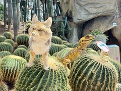 -南山植物园