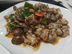 -小耕园