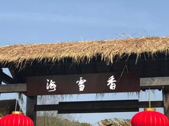 -香雪海