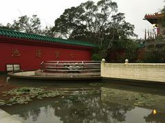 -宝莲禅寺