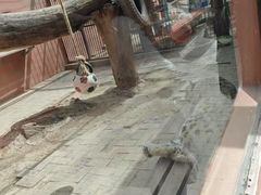 -青藏高原野生动物园
