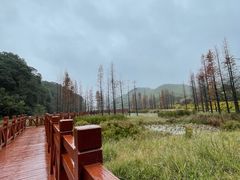 -广州市石门国家森林公园