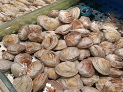 -SEA西雅图海鲜自助餐厅(海乐世界店)